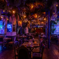 Jungle Palace