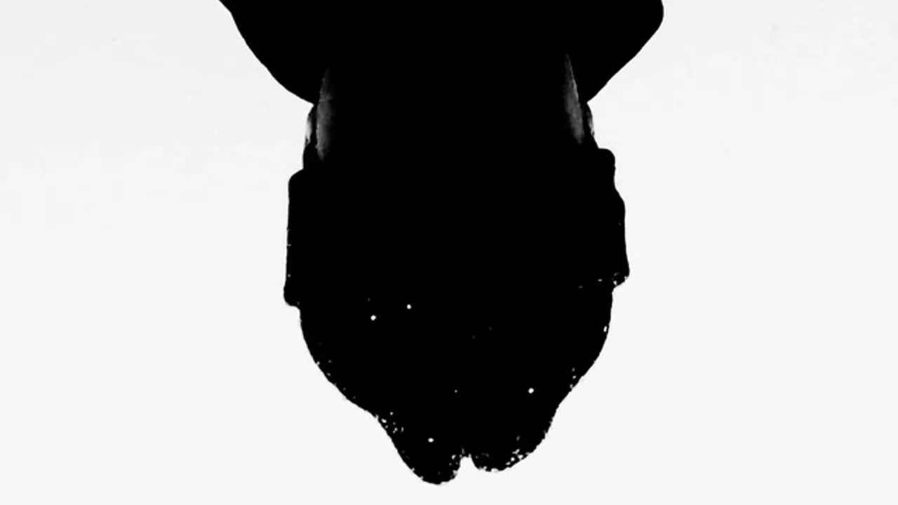 Joe Unknown