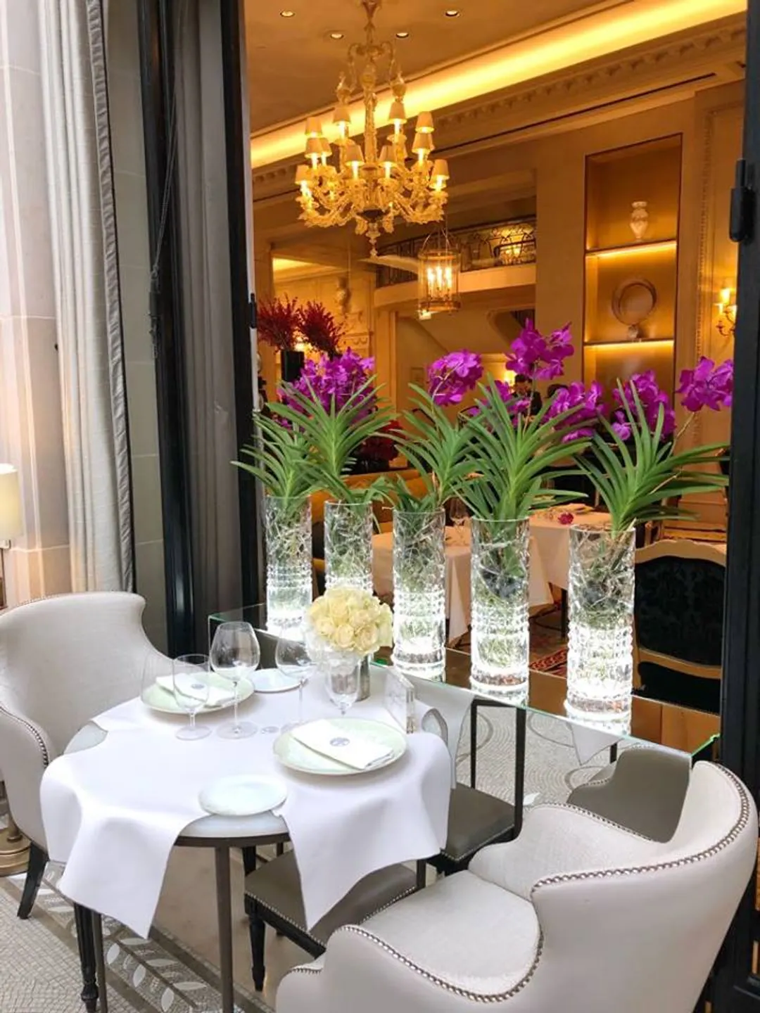 L'Orangerie Restaurant Paris