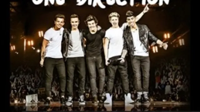 Concert One Direction