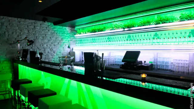 devenez un pro du mojito