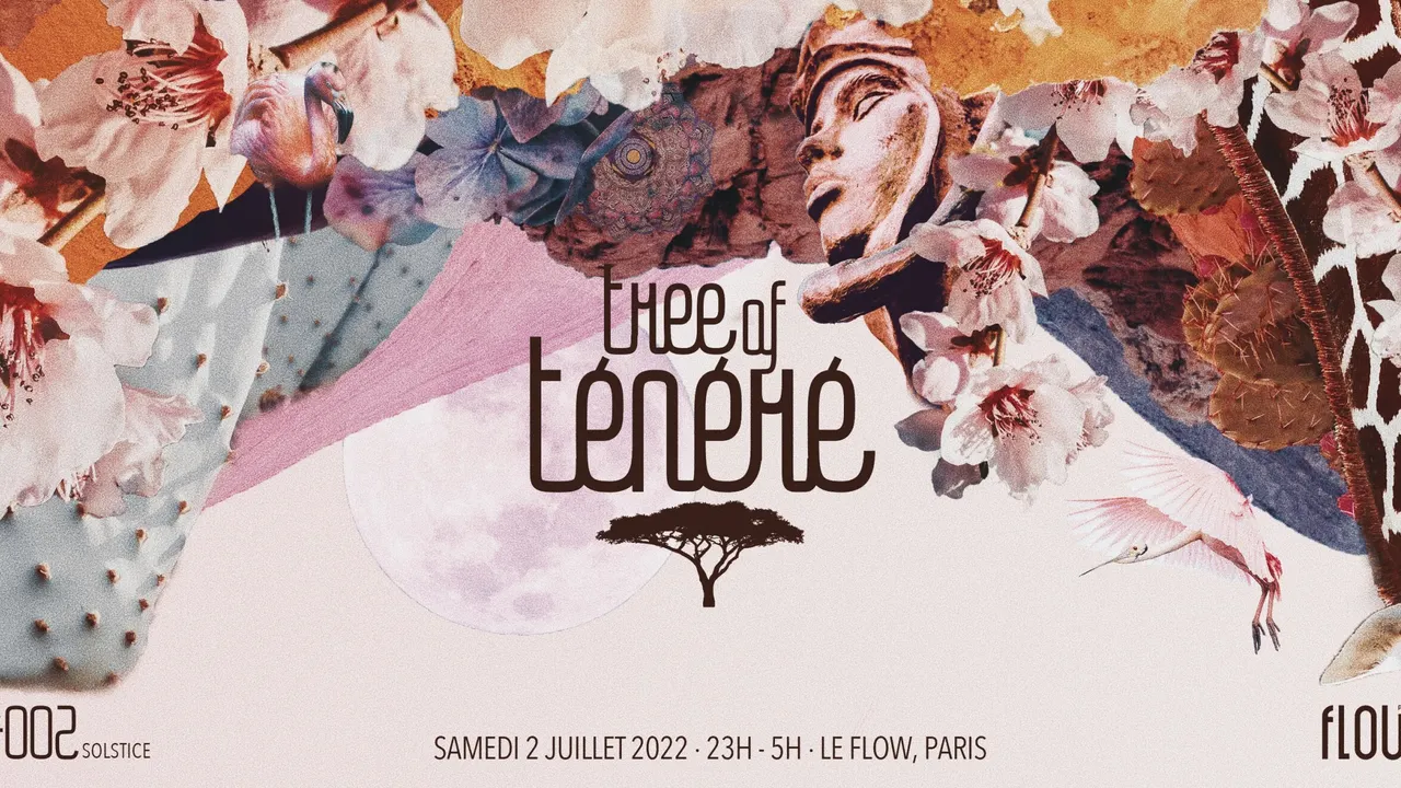 Tree of Ténéré x Le Flow | Solstice