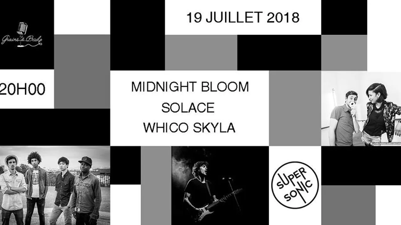 Midnight Bloom - Solace - Whico Skyla