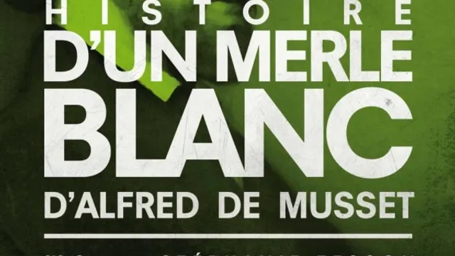 Histoire d'un merle Blanc