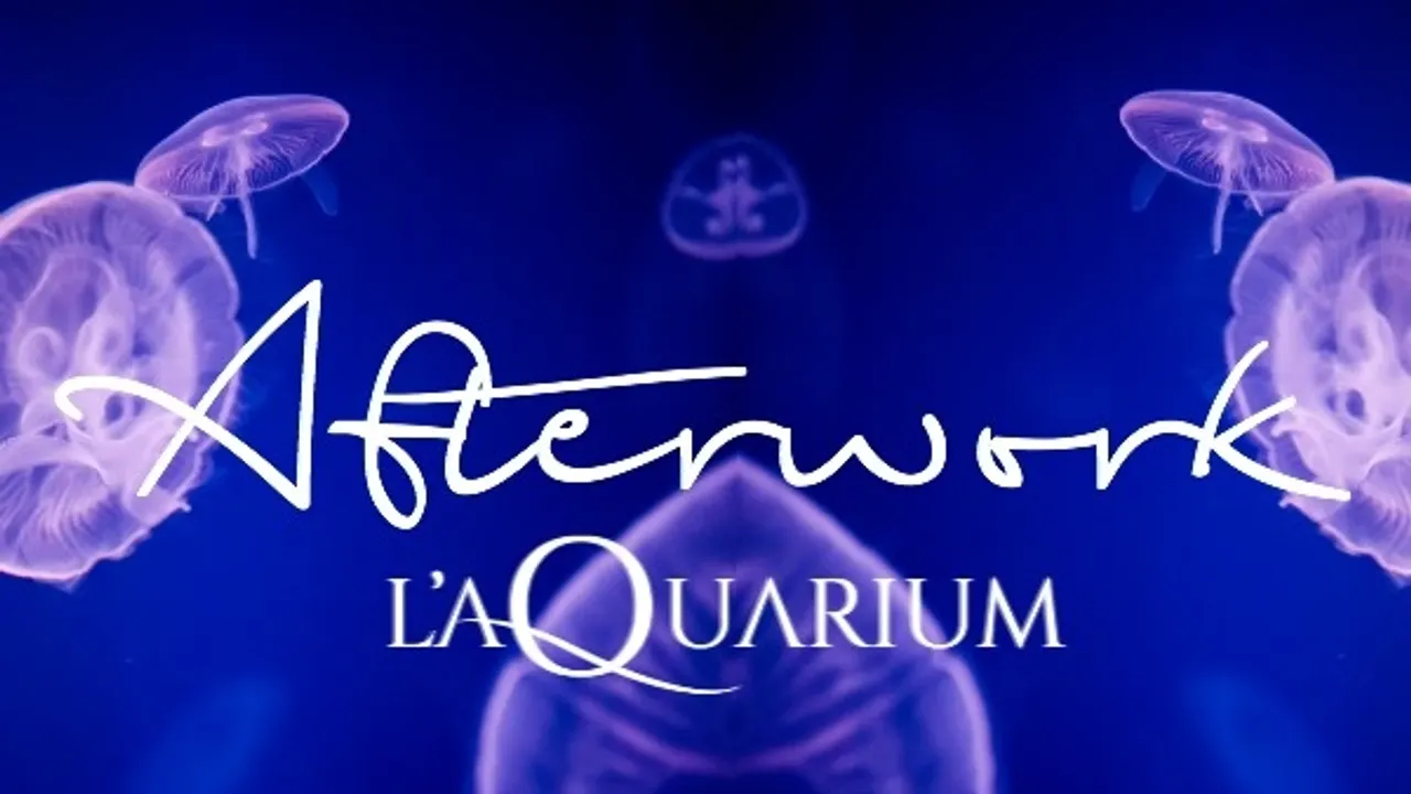 AFTERWORK EXCLUSIF MERCREDI @ TOUT L'AQUARIUM - VEILLE DE JOUR FERIE