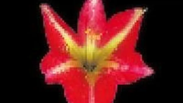 Colour