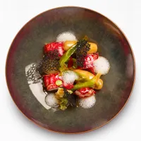 Apicius