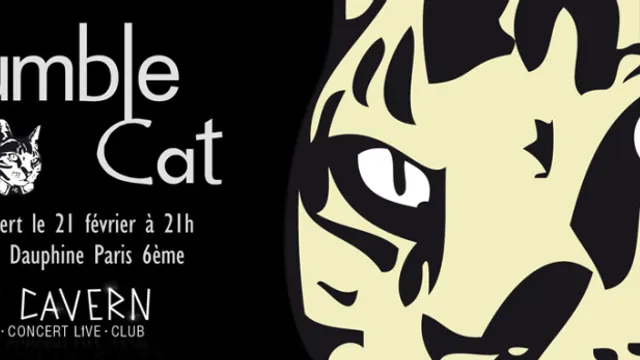 Rumble Cat en concert au Cavern