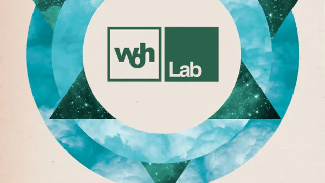 Woh Lab w Joris Delacroix