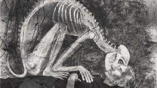 Roger Ballen et Hans Lemmen, Unleashed