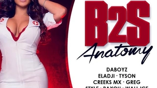 B2S Anatomy