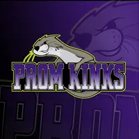 PROM KINKS