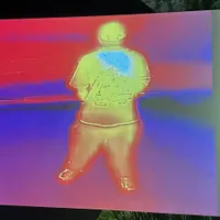 False Persona