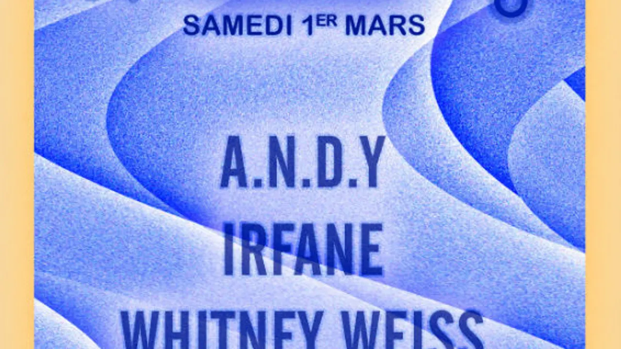 Nouveau Disco: A.N.D.Y, Irfane, Whitney Weiss