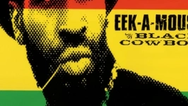 Eek-A-Mouse