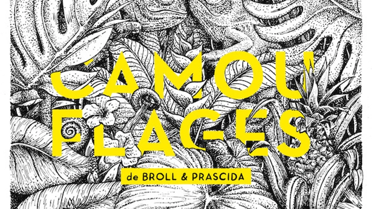 Broll & Prascida « Camouflages »