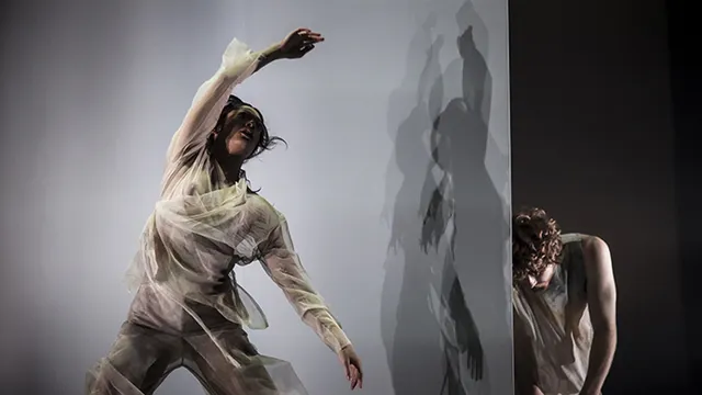 Dancenorth Australia - Dust