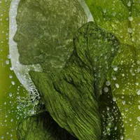 PÉTRICHOR, le Solo Show de l'illustratrice Lucille Clerc