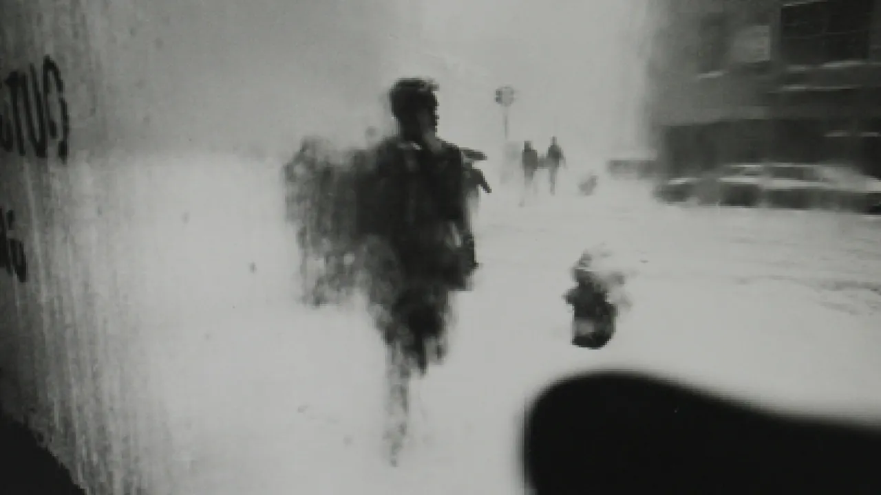 Soldat inconnu(e) - ZOOM #5