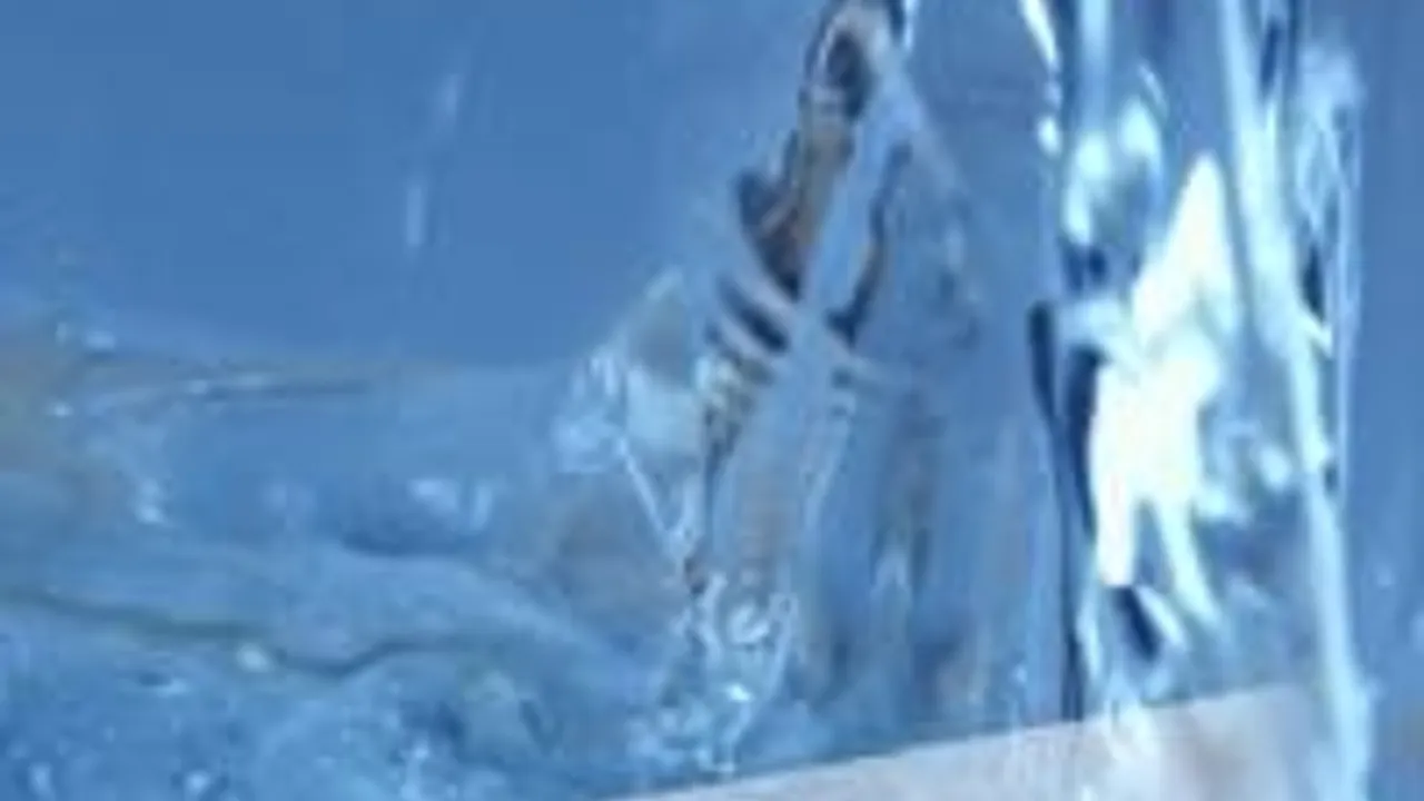 Ice Dkdance