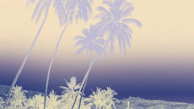 Voir Tahiti - Premières photographies 1859-1870