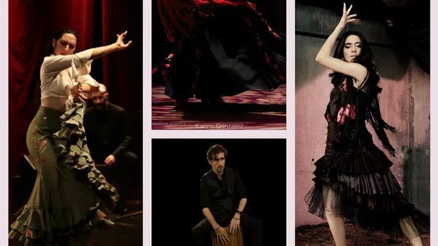 Puro Flamenco