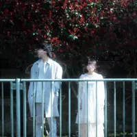 終日柄