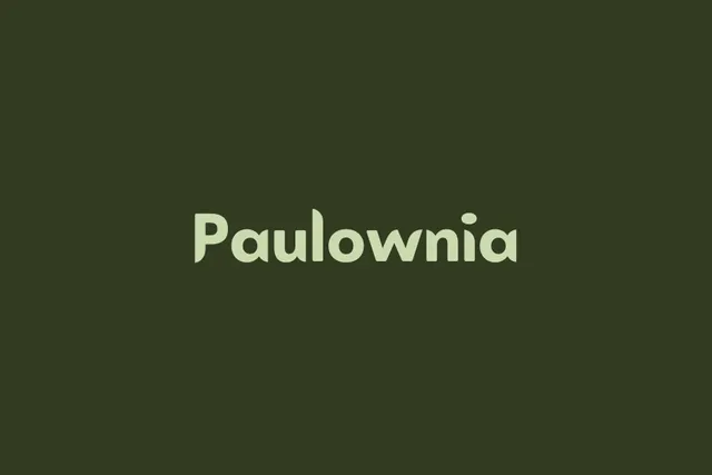 Paulownia