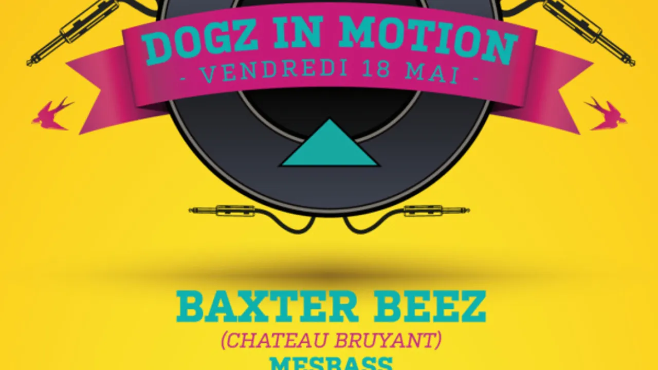 Dogz in Motion W/ Baxter Beez