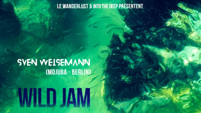 Wild Jam With Sven Weisemann, Into The Deep & Friends