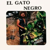 El Gato Negro