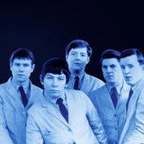 The Animals
