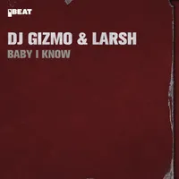 Dj Gizmo