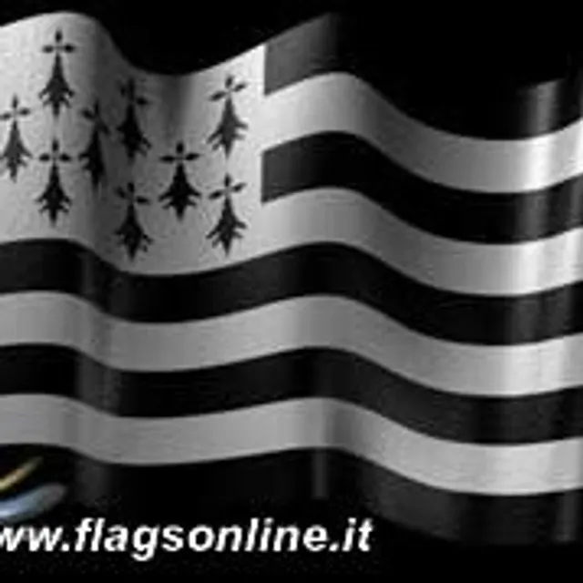 Mickael S
