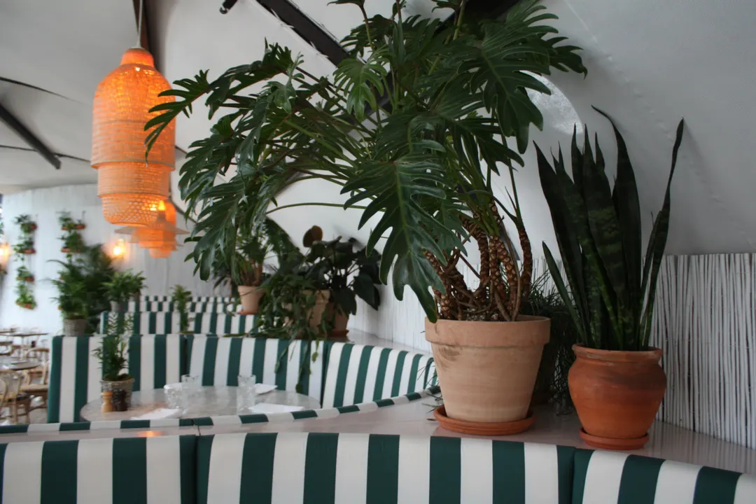 Polpo Restaurant Bar Levallois-Perret