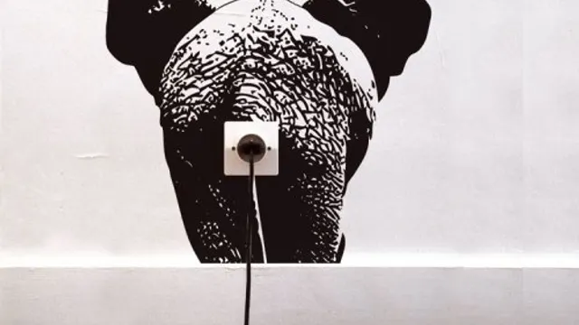 Exposition Animal