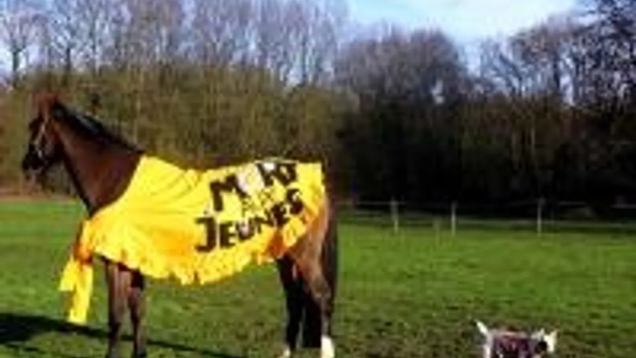 Mort Aux Jeunes # 13