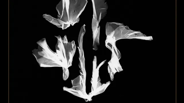 Exposition LES EAUX SOMBRES