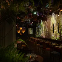 Jungle Palace