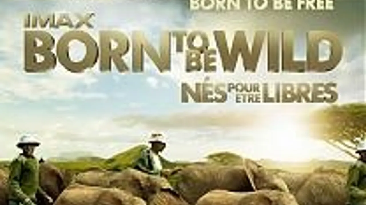 Film + Cité : Born to be Wild & Explora