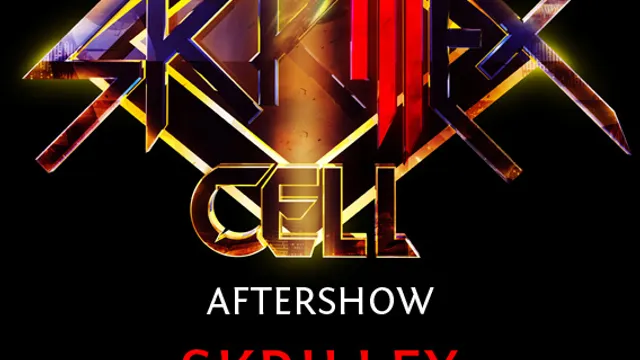 SKRILLEX AFTERSHOW & GUESTS