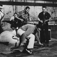 Bill Haley & His Comets