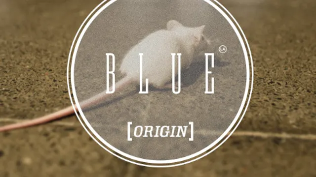 La blue origin