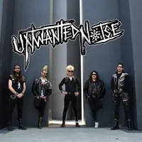 Unwanted Noise