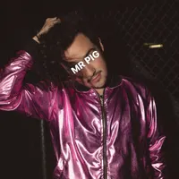 Mr. Pig