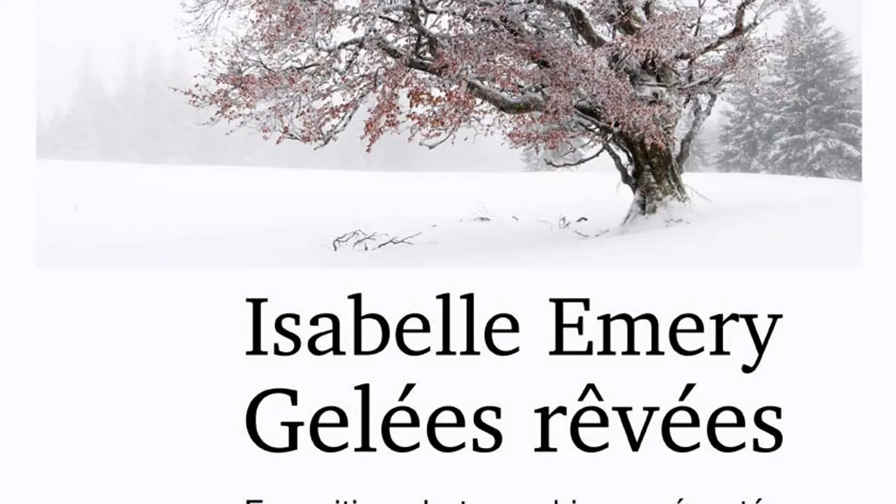 Gelées Rêvées par Isabelle Emery