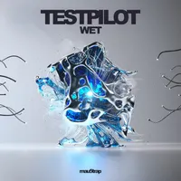 Testpilot
