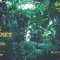 Exposition "L'ordre des Choses", de Livia Melzi et Emilio Azevedo