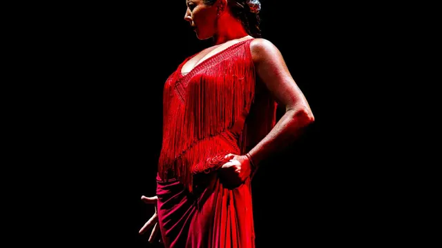 LE FLAMENCO À L’HONNEUR POUR LES FÊTES DE FIN D’ANNEE DU 26 AU 31 DECEMBRE 2022 À PLEYEL