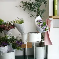Peonies